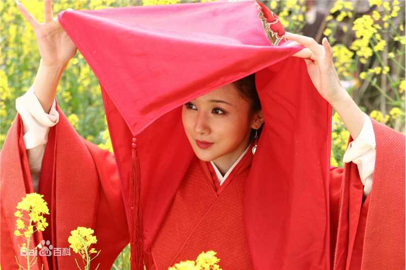 最优质孙菲菲(加菲猫 、孙大头、静公主)在《孔雀东南飞》饰 刘兰芝中的相册