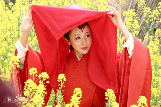 最优质孙菲菲(加菲猫 、孙大头、静公主)在《孔雀东南飞》饰 刘兰芝中的相册