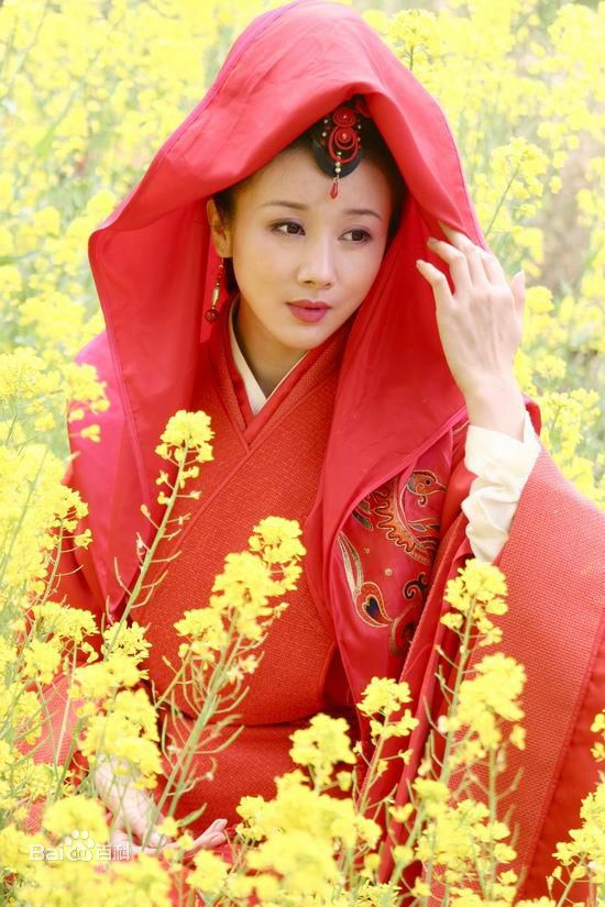 最优质孙菲菲(加菲猫 、孙大头、静公主)在《孔雀东南飞》饰 刘兰芝中的相册