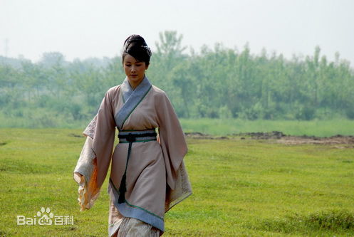 最优质孙菲菲(加菲猫 、孙大头、静公主)在《孔雀东南飞》饰 刘兰芝中的相册