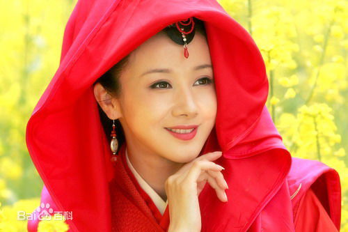 最优质孙菲菲(加菲猫 、孙大头、静公主)在《孔雀东南飞》饰 刘兰芝中的相册