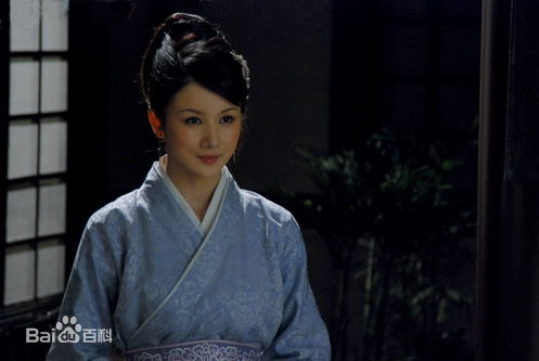 最优质孙菲菲(加菲猫 、孙大头、静公主)在《孔雀东南飞》饰 刘兰芝中的相册