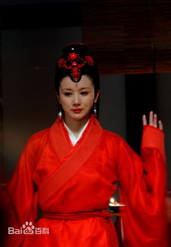 最优质孙菲菲(加菲猫 、孙大头、静公主)在《孔雀东南飞》饰 刘兰芝中的相册