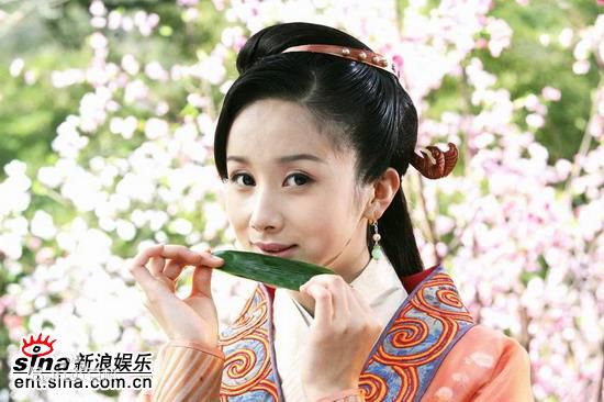 孙菲菲(加菲猫 、孙大头、静公主)碧血剑--壁纸壁纸