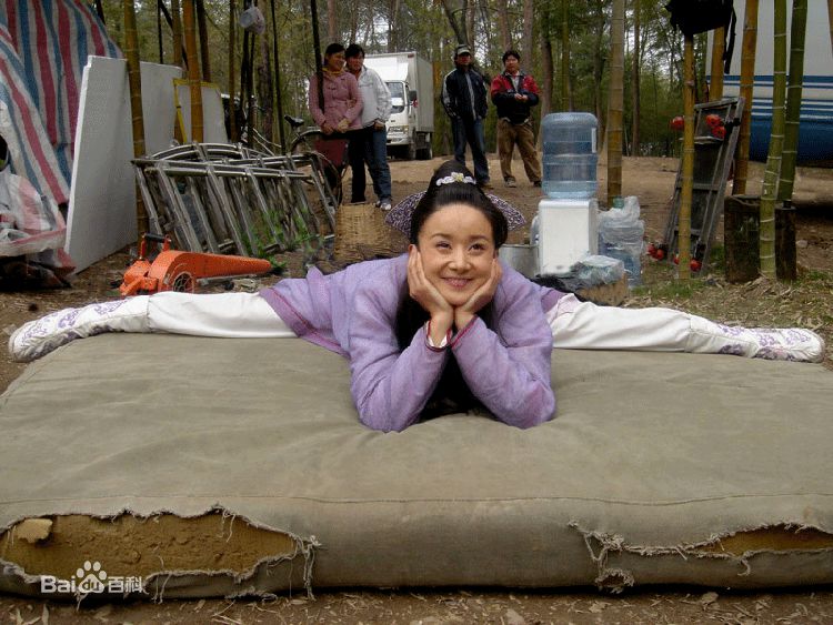 孙菲菲(加菲猫 、孙大头、静公主)碧血剑--壁纸壁纸