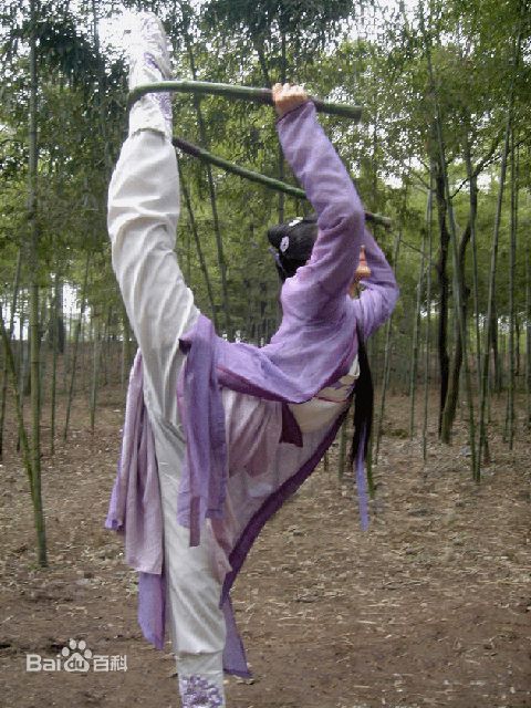 孙菲菲(加菲猫 、孙大头、静公主)2006年《碧血剑》最新剧照