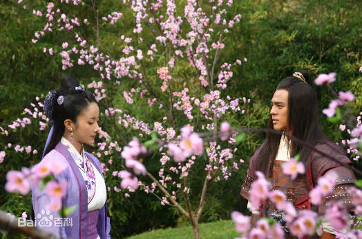 孙菲菲(加菲猫 、孙大头、静公主)2006年《碧血剑》最新剧照