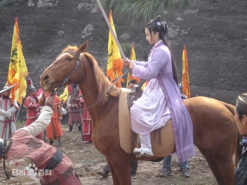 孙菲菲(加菲猫 、孙大头、静公主)2006年《碧血剑》最新剧照