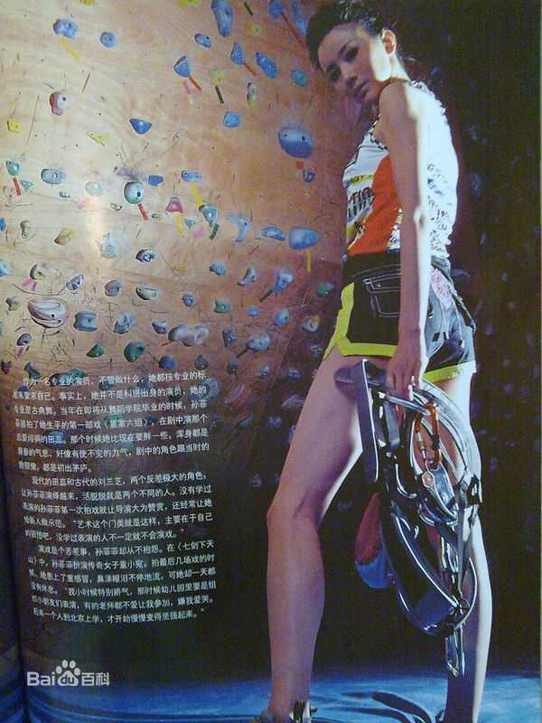 孙菲菲(加菲猫 、孙大头、静公主)高清杂志照图集