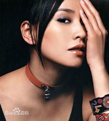 最全张庭精彩图册