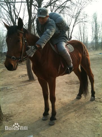 任泉(Quan Ren)亮剑性感图片图集