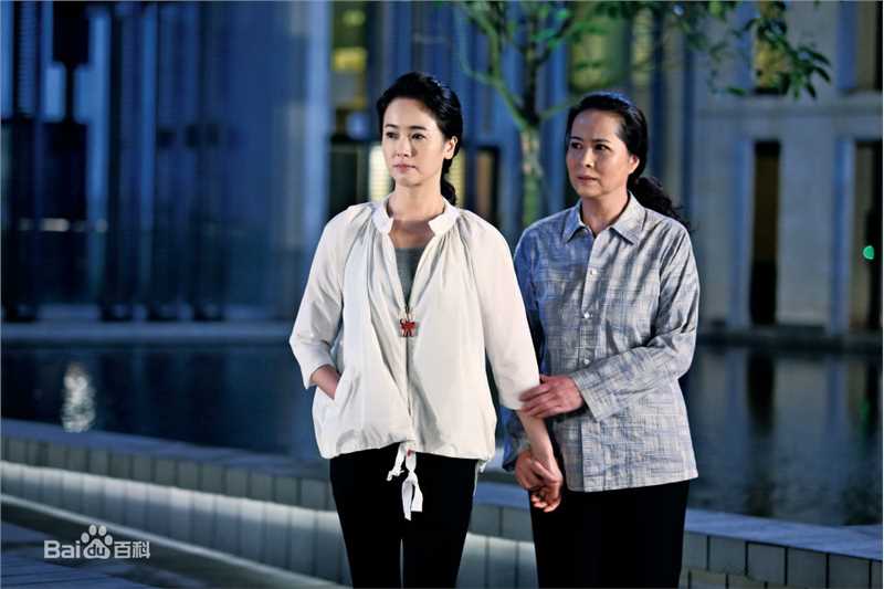 左小青2014~2015电视剧最优质剧照