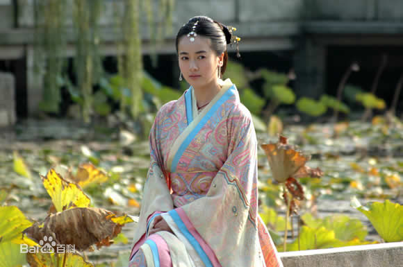 左小青2003~2004电视剧精选剧照