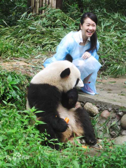 左小青博客照片前后照片