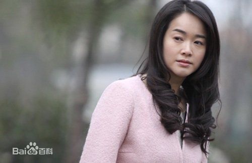 精选左小青在2010电影《人在囧途》饰 美丽中的图册