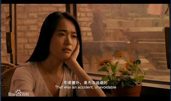 最优质左小青在2009年电影《车票》饰曾雨桐中的相册