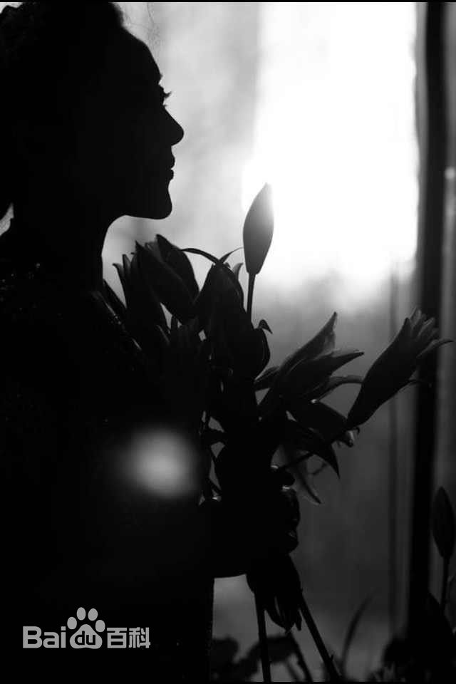 傅冲(Sasa)精选个人、生活照图册