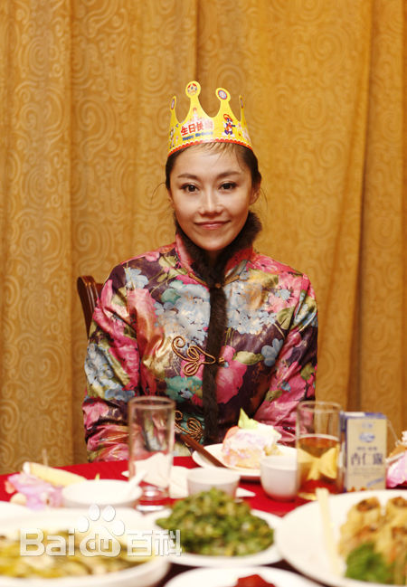 傅冲(Sasa)与中国传统文化图册