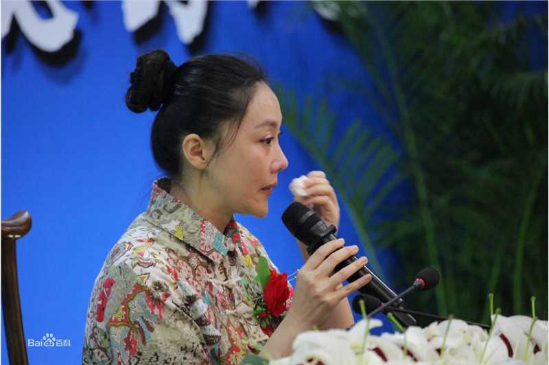 傅冲(Sasa)与中国传统文化图册