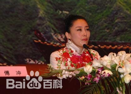 傅冲(Sasa)与中国传统文化图册