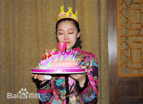 傅冲(Sasa)与中国传统文化图册