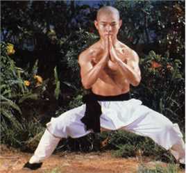 精选李连杰(Jet Li)在《少林寺》中的图册