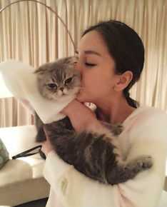 杨颖(Angelababy)baby和小宝贝图册