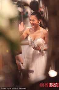 张柏芝(Cecilia Cheung)精彩图册