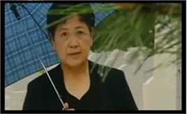 宋春丽《离婚再婚》最全剧照