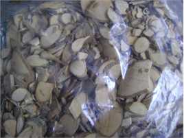 杨梅根图片图集