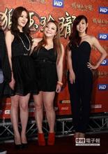 精选杨雅筑(Sylvia)在《铁狮玉玲珑》中的图册