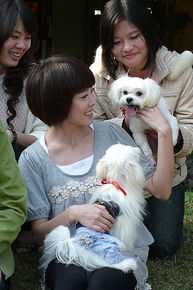 李康宜(Lee Kang-Yi)出席活动照片壁纸壁纸