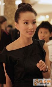 林湘萍(Yvonne Lim)--活动性感图片壁纸