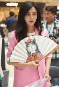 甘露活动相册前后照片