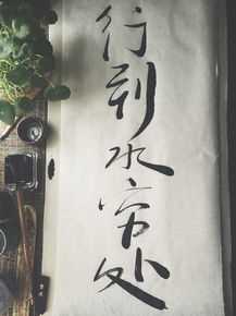 罗小伊(Royi)笔墨之香图册