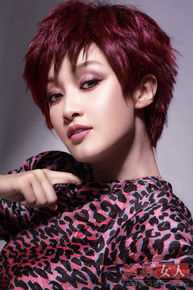 精选赵子琪精彩图册1