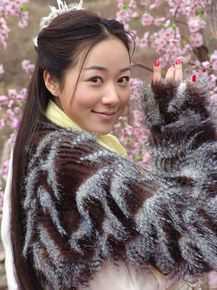 韩雪(Cecilia Han、ハン シュエ（日语）)参演电视剧性感图片图集