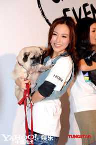 伍咏薇(Christine Ng)新闻图片图册