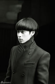 魏晨(Vision Wei)最优质