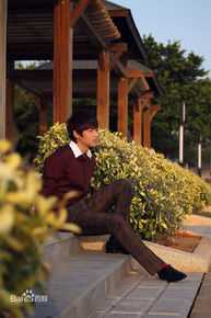 最全魏晨(Vision Wei)在《一起来看流星雨》饰演叶烁中的壁纸