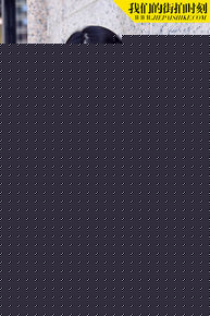 景甜(Jing Tian)时尚活动图册