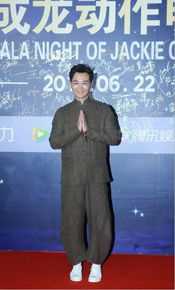 成龙动作电影周