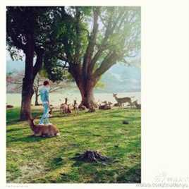 马天宇(Ray Ma)其他性感图片图集