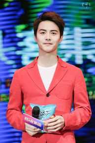 马天宇(Ray Ma)回头客销商年会素颜照相册