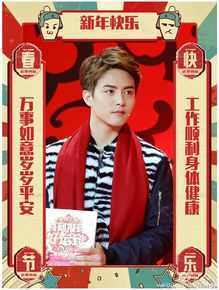 马天宇(Ray Ma)2016春晚图片图册