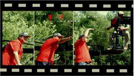 《军礼》《依靠》