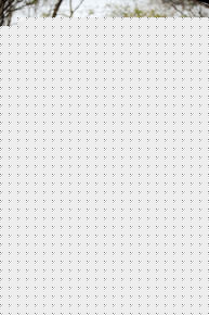 高清王丽坤(Claudia)精彩图册