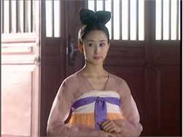 胡静(hujing)参演电视作品（1998-2003）壁纸壁纸