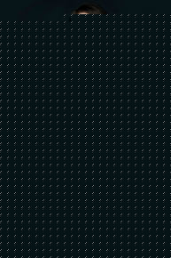 高清车永莉(Che Yong li)图片