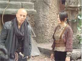 安雅(Anya)在2008年《白鹤功夫传》中的